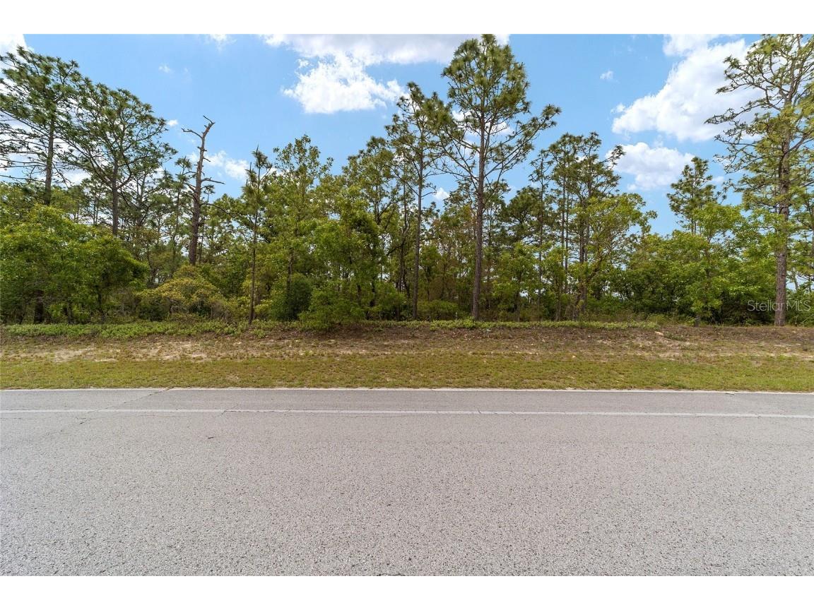 9200 N Citrus Springs Boulevard Citrus Springs FL 34433 T3519229 image1