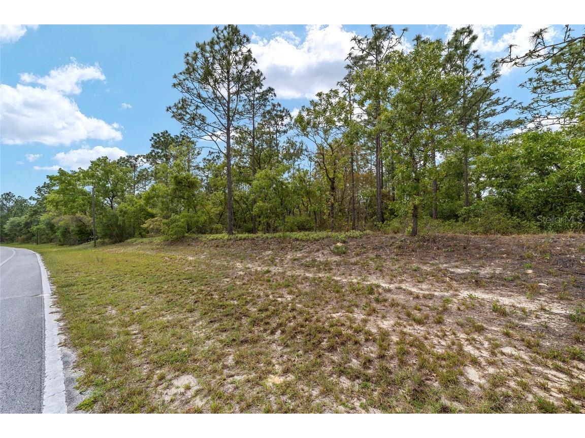 9200 N Citrus Springs Boulevard Citrus Springs FL 34433 T3519229 image3