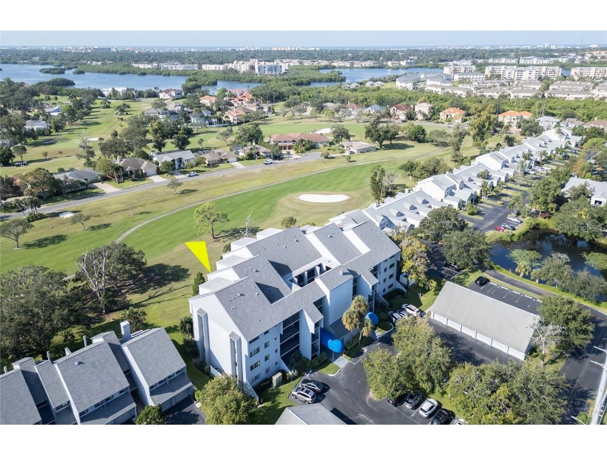 9200 Park Boulevard #105 Seminole FL 33777 TB8429755 image1