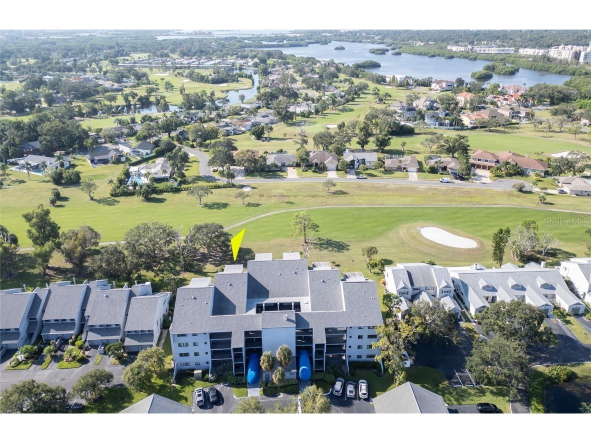 9200 Park Boulevard #105 Seminole FL 33777 TB8429755 image49