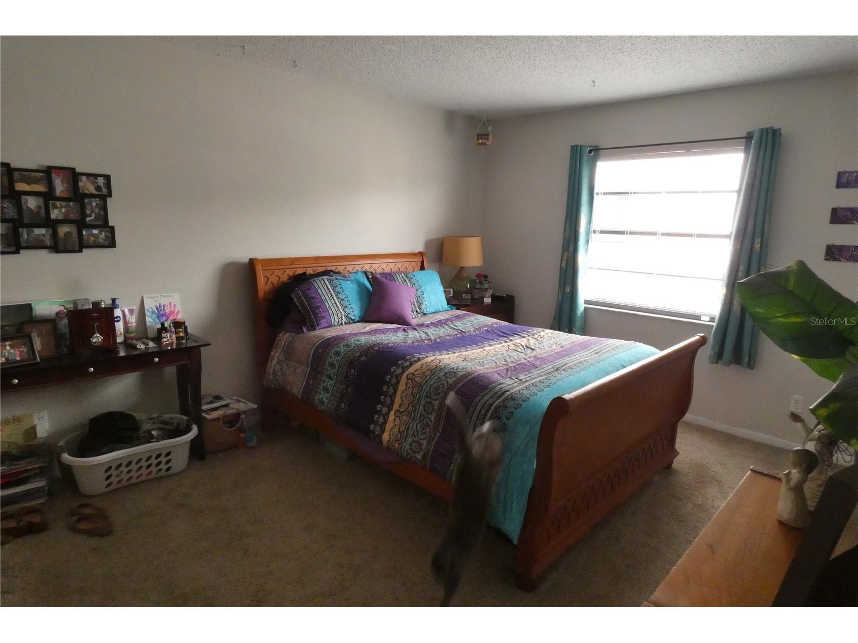 9201 7th Street N Saint Petersburg FL 33702 TB8479546 image17