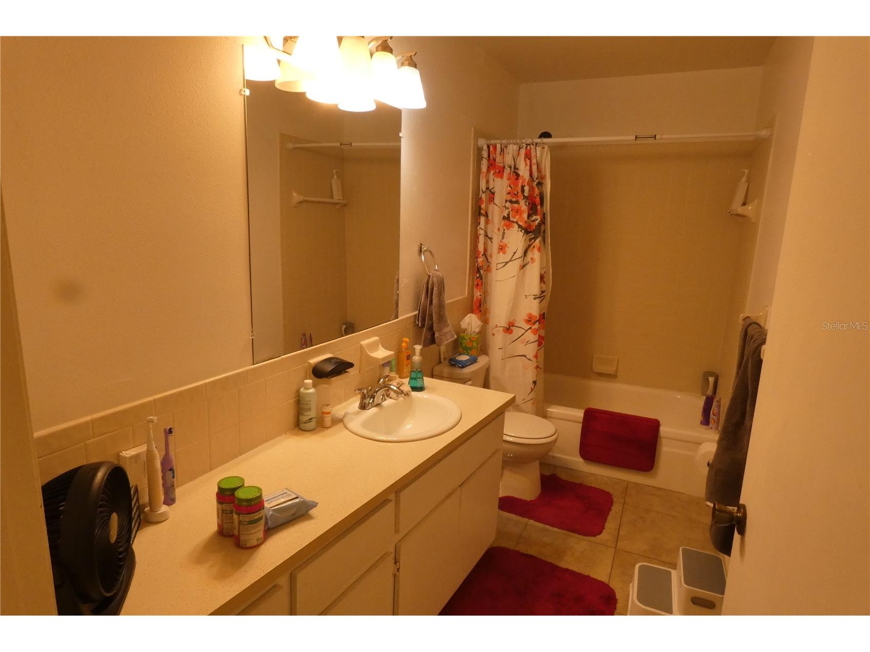 9201 7th Street N Saint Petersburg FL 33702 TB8479546 image18