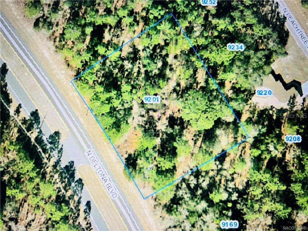 9201 N Deltona Boulevard Citrus Springs FL 34434 G5065261 image1