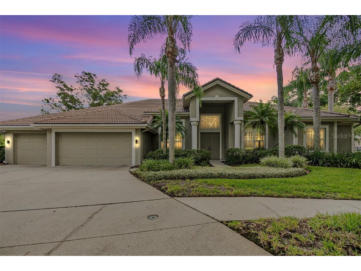 9201 Pine Island Court Tampa FL 33647 TB8304665 image1