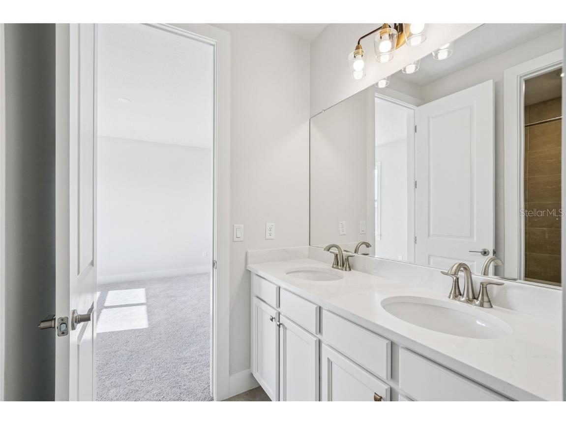 9201 Sanders Tree Loop Wesley Chapel FL 33545 O6317926 image74