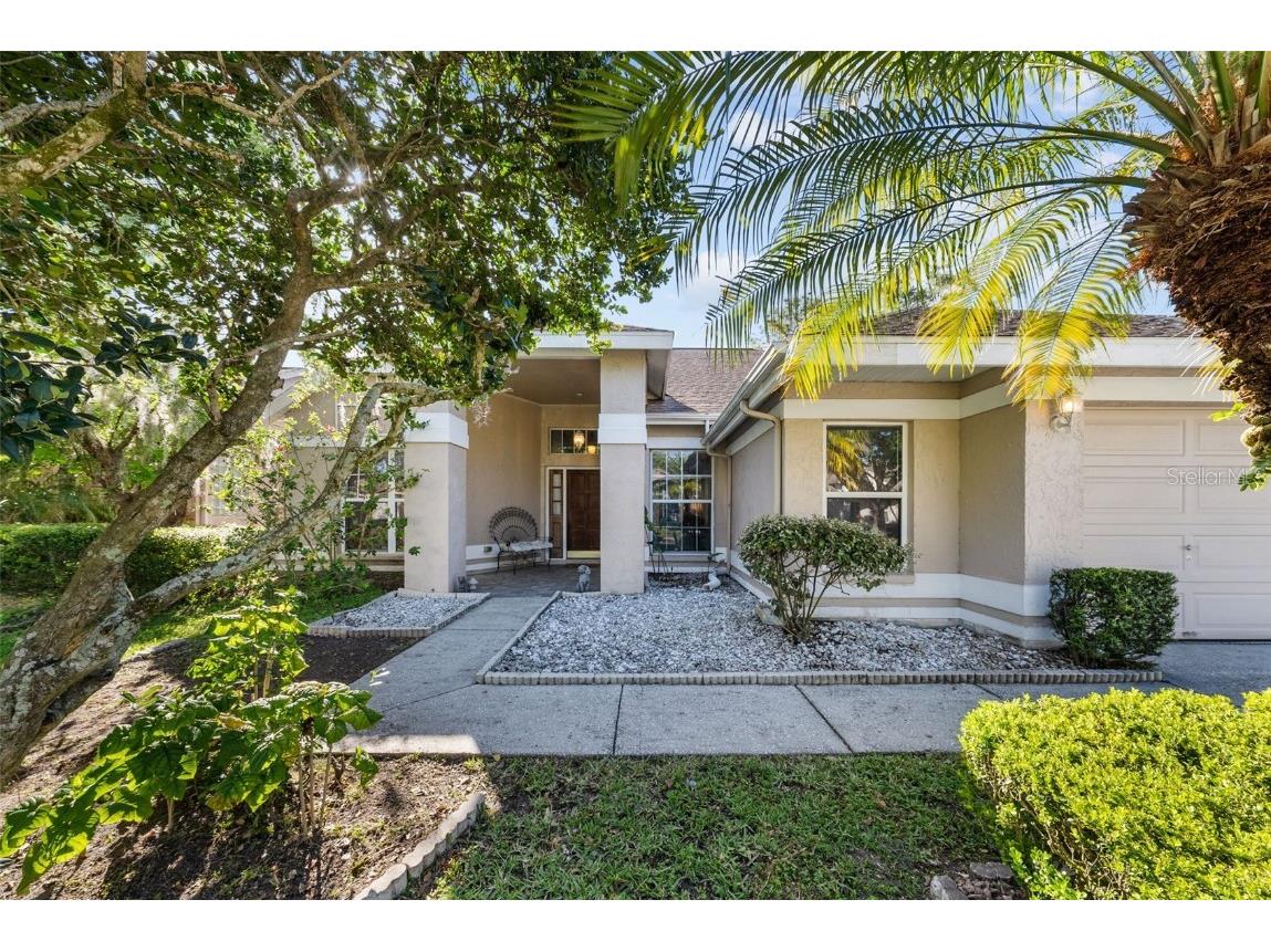 9203 Dayflower Drive Tampa FL 33647 T3514645 image1
