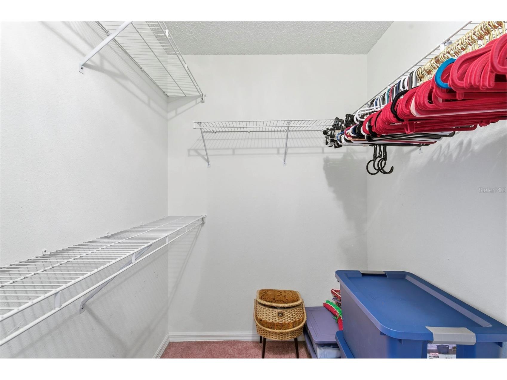 9203 Halberg Drive Hudson FL 34669 TB8510846 image26