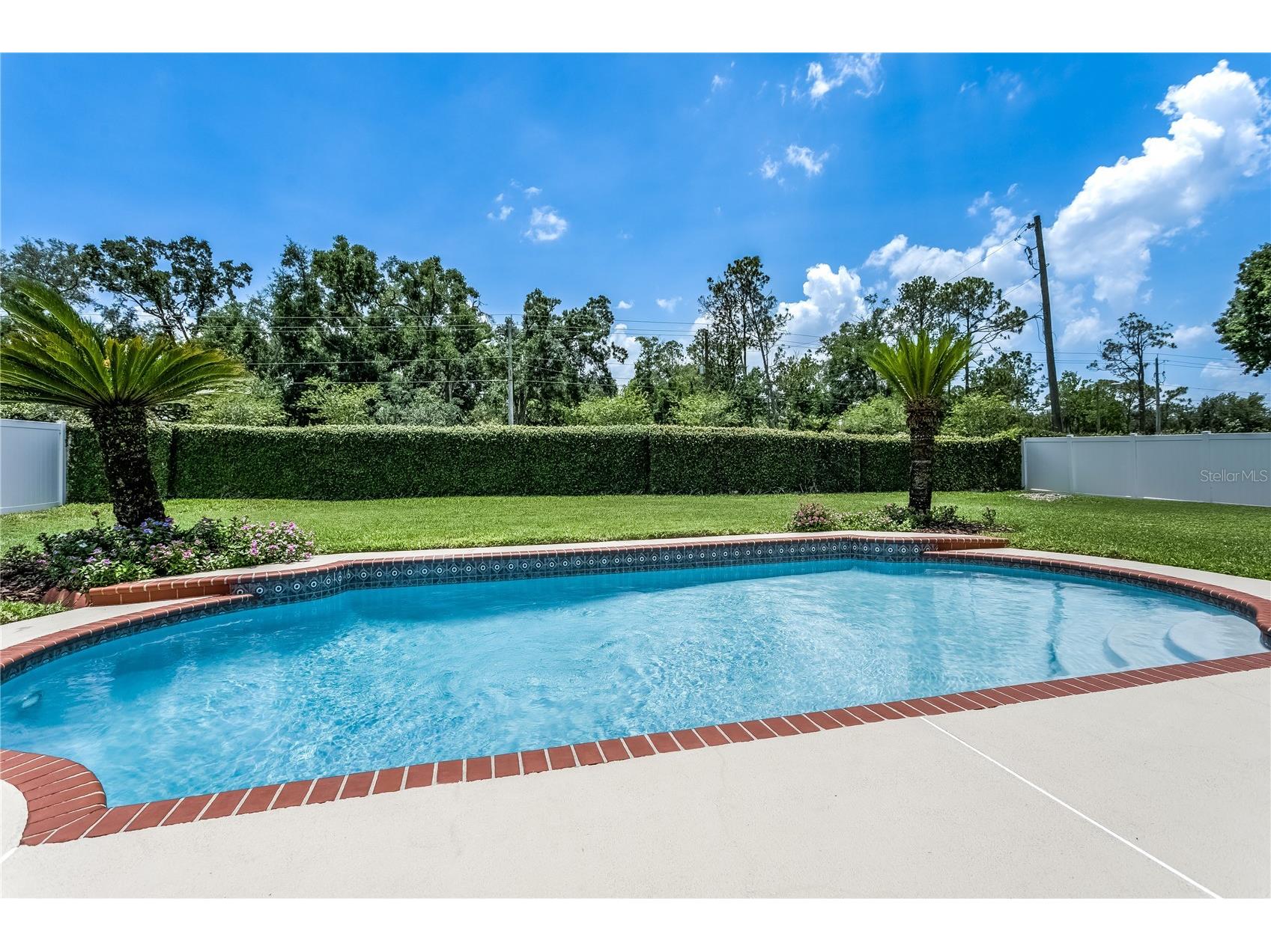 9203 Kingsridge Drive Temple Terrace FL 33637 TB8495544 image3