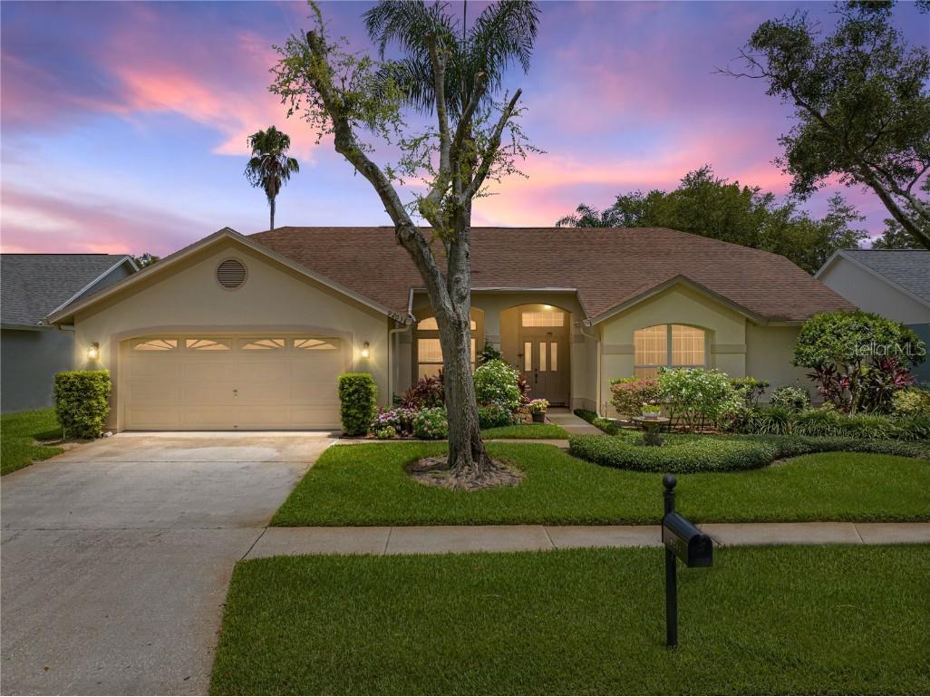 9203 Sunflower Drive Tampa FL 33647 T3458269 image1