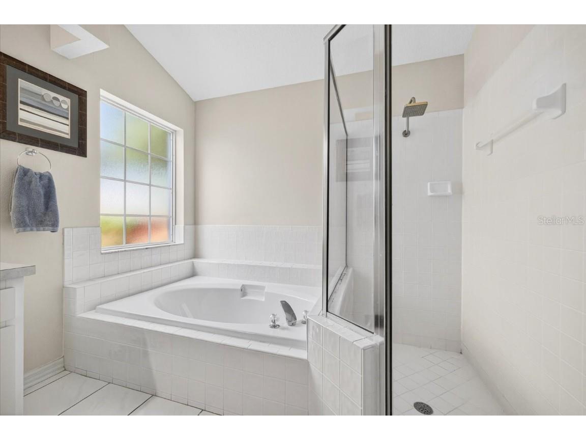 9203 Sunflower Drive Tampa FL 33647 TB8437738 image22