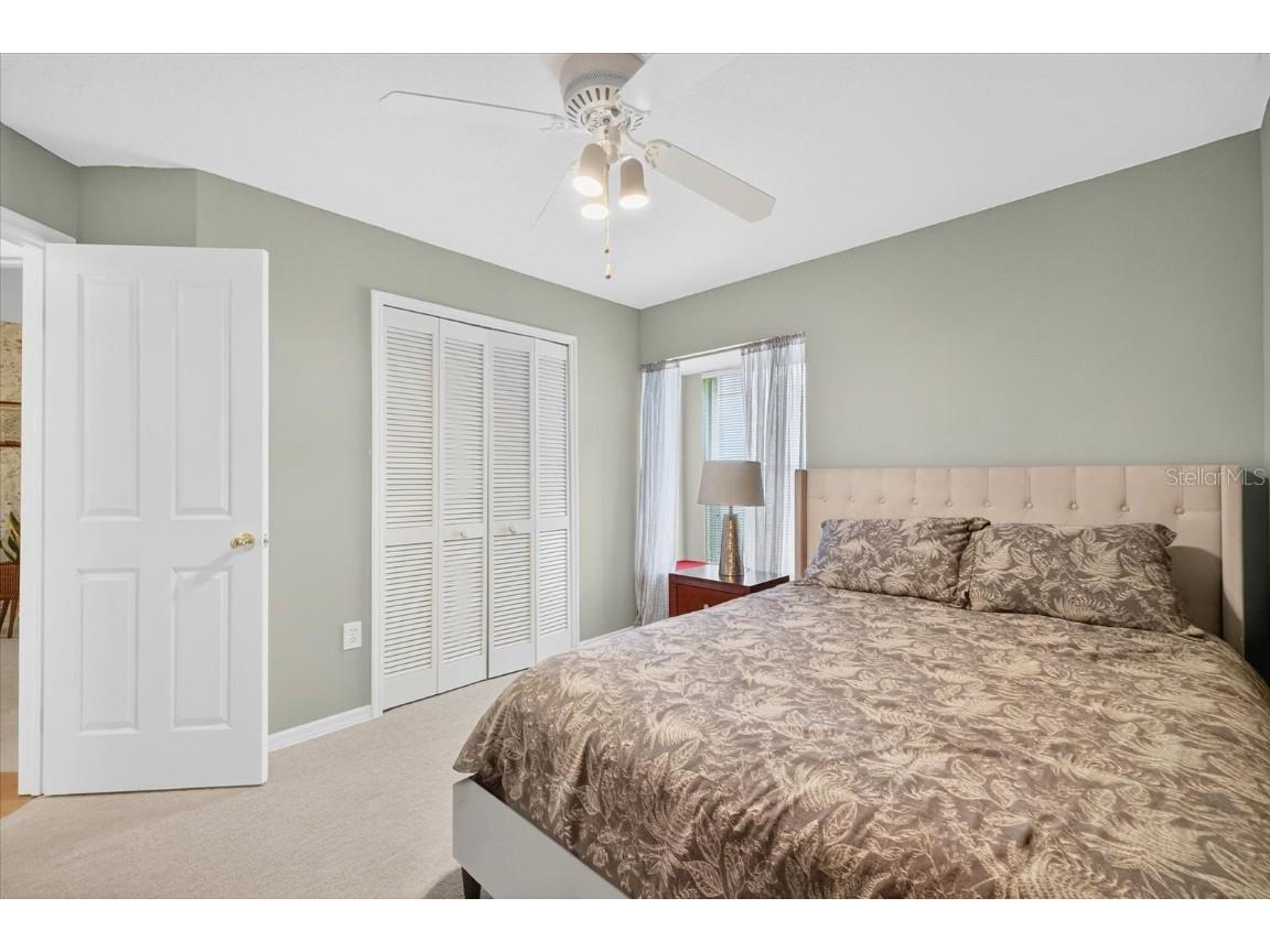 9203 Sunflower Drive Tampa FL 33647 TB8437738 image25