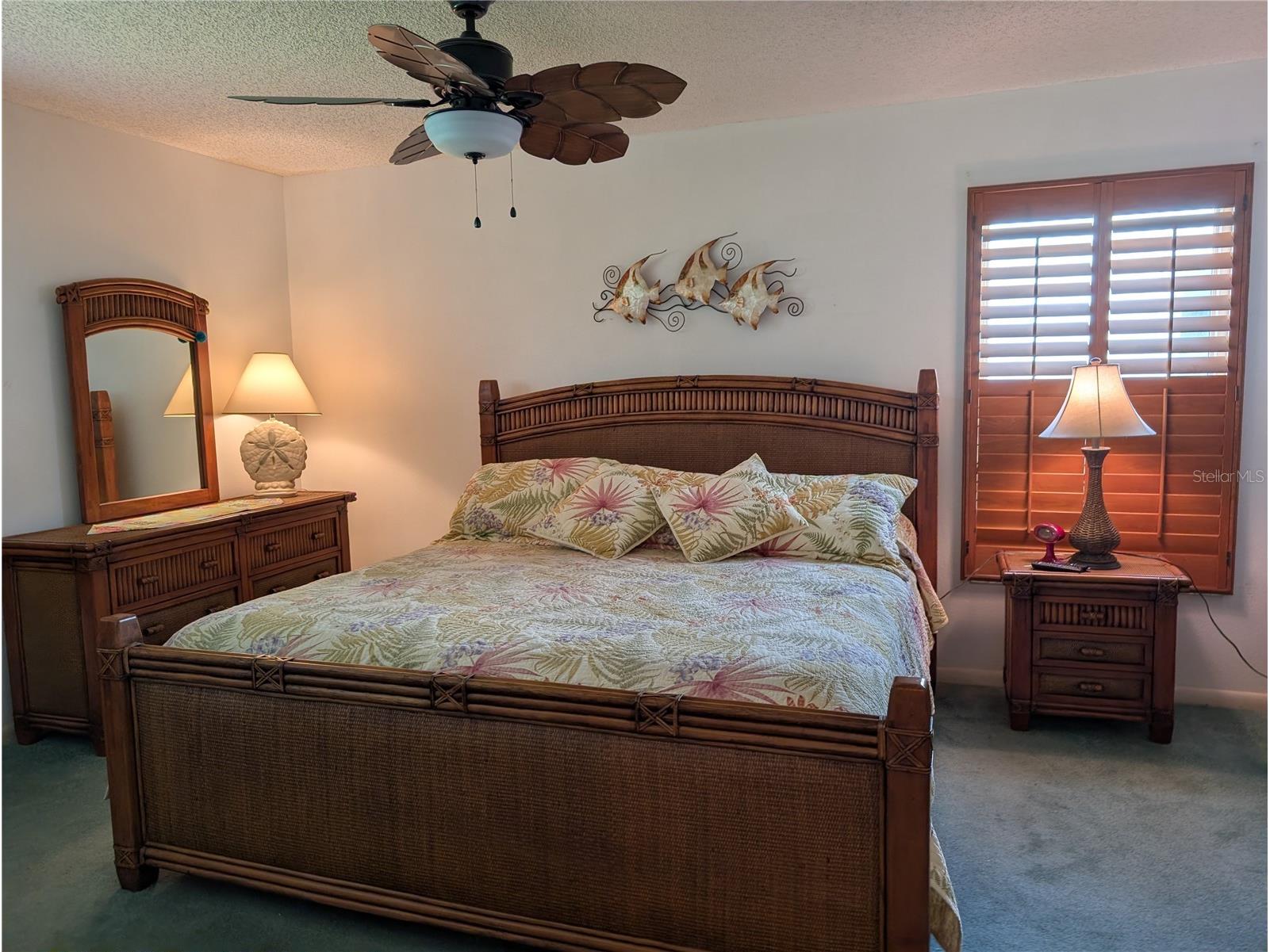 9204 36th Way N #6 Pinellas Park FL 33782 TB8489771 image27