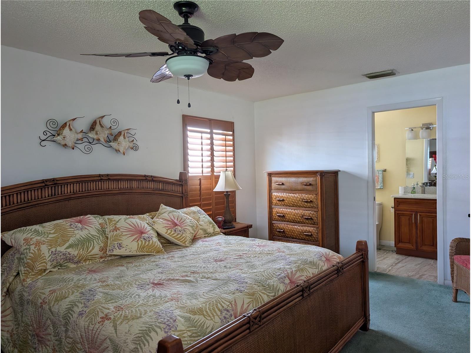 9204 36th Way N #6 Pinellas Park FL 33782 TB8489771 image28