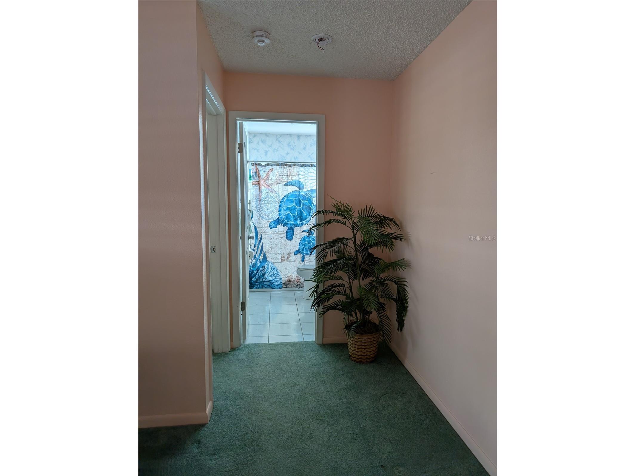 9204 36th Way N #6 Pinellas Park FL 33782 TB8489771 image5