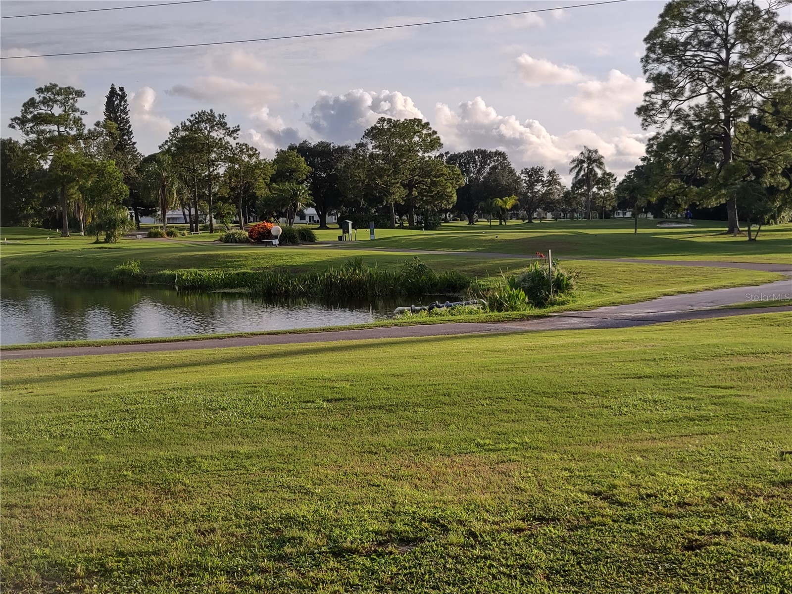 9204 36th Way N #6 Pinellas Park FL 33782 TB8489771 image72