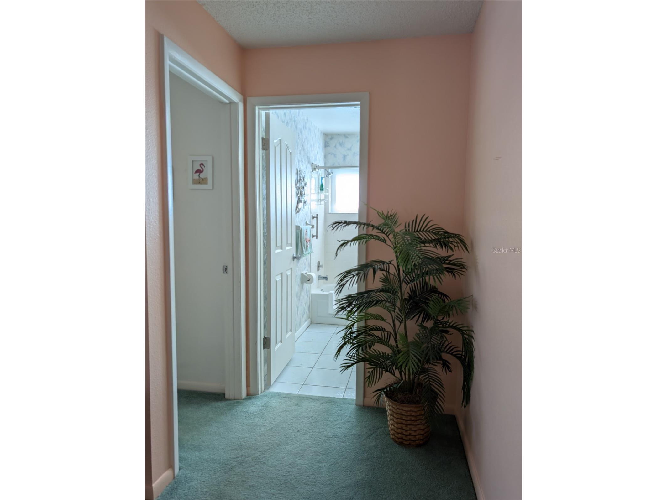 9204 36th Way N #6 Pinellas Park FL 33782 TB8489771 image9