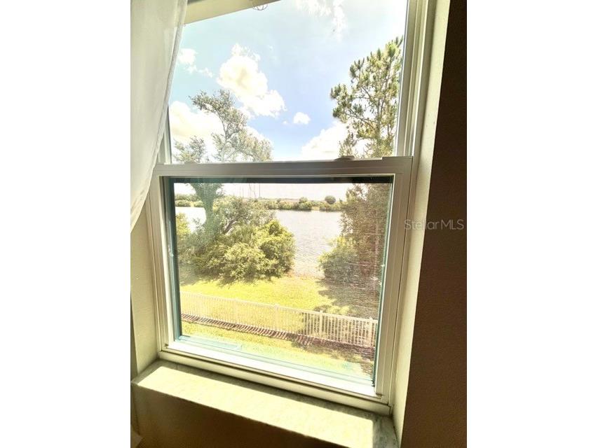 9204 Fox Sparrow Road Tampa FL 33626 TB8484519 image22