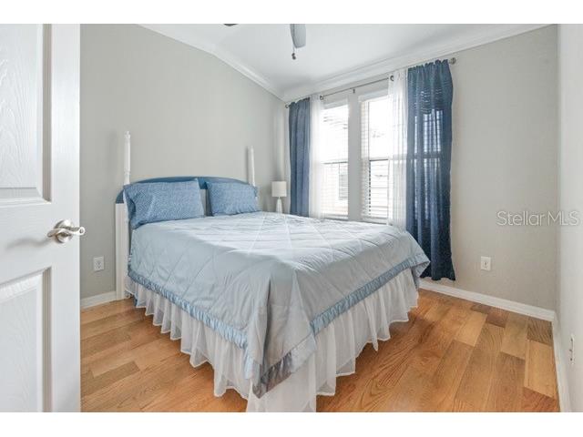 9204 Fox Sparrow Road Tampa FL 33626 TB8484519 image30