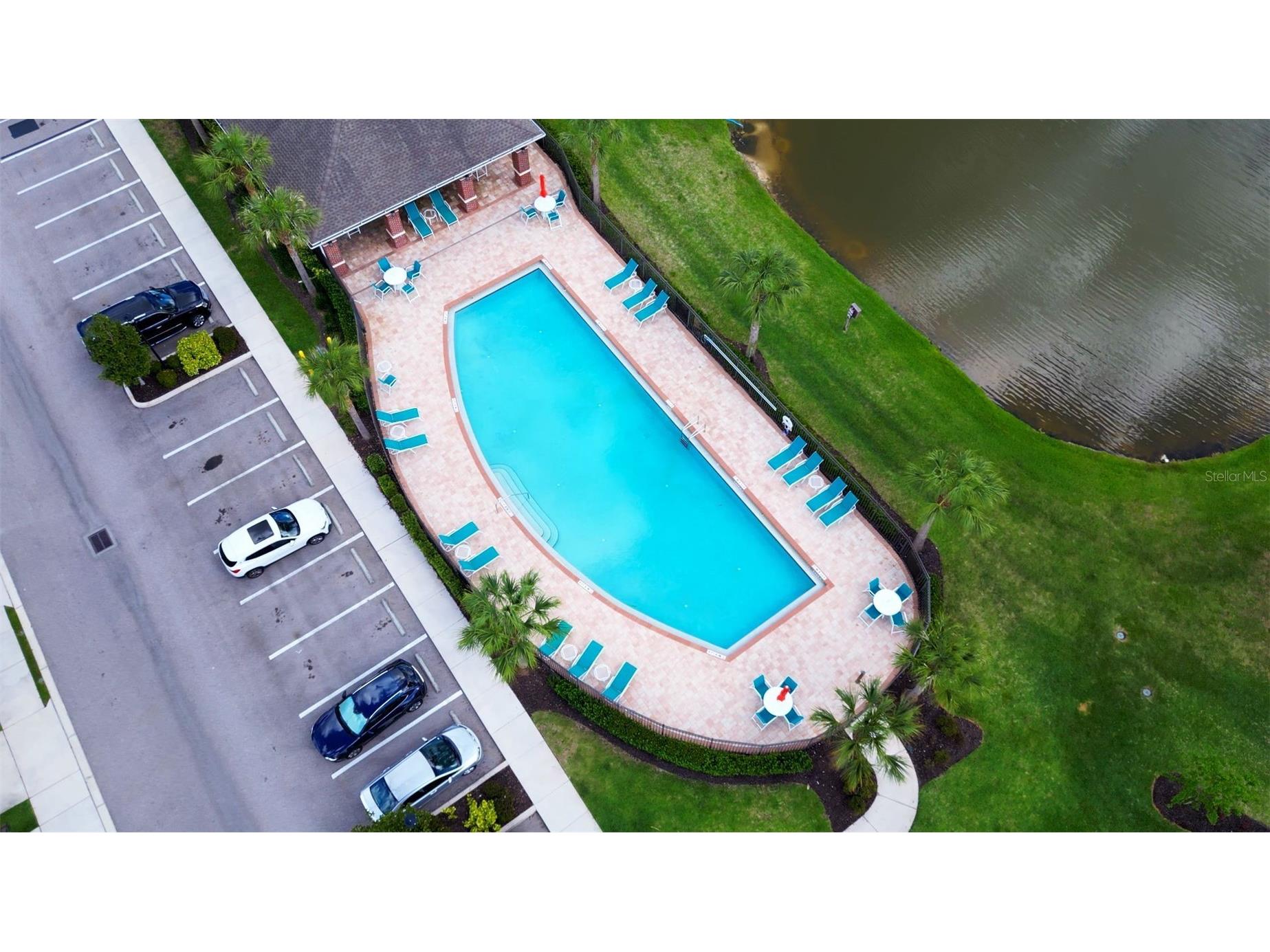 9204 Fox Sparrow Road Tampa FL 33626 TB8484519 image37