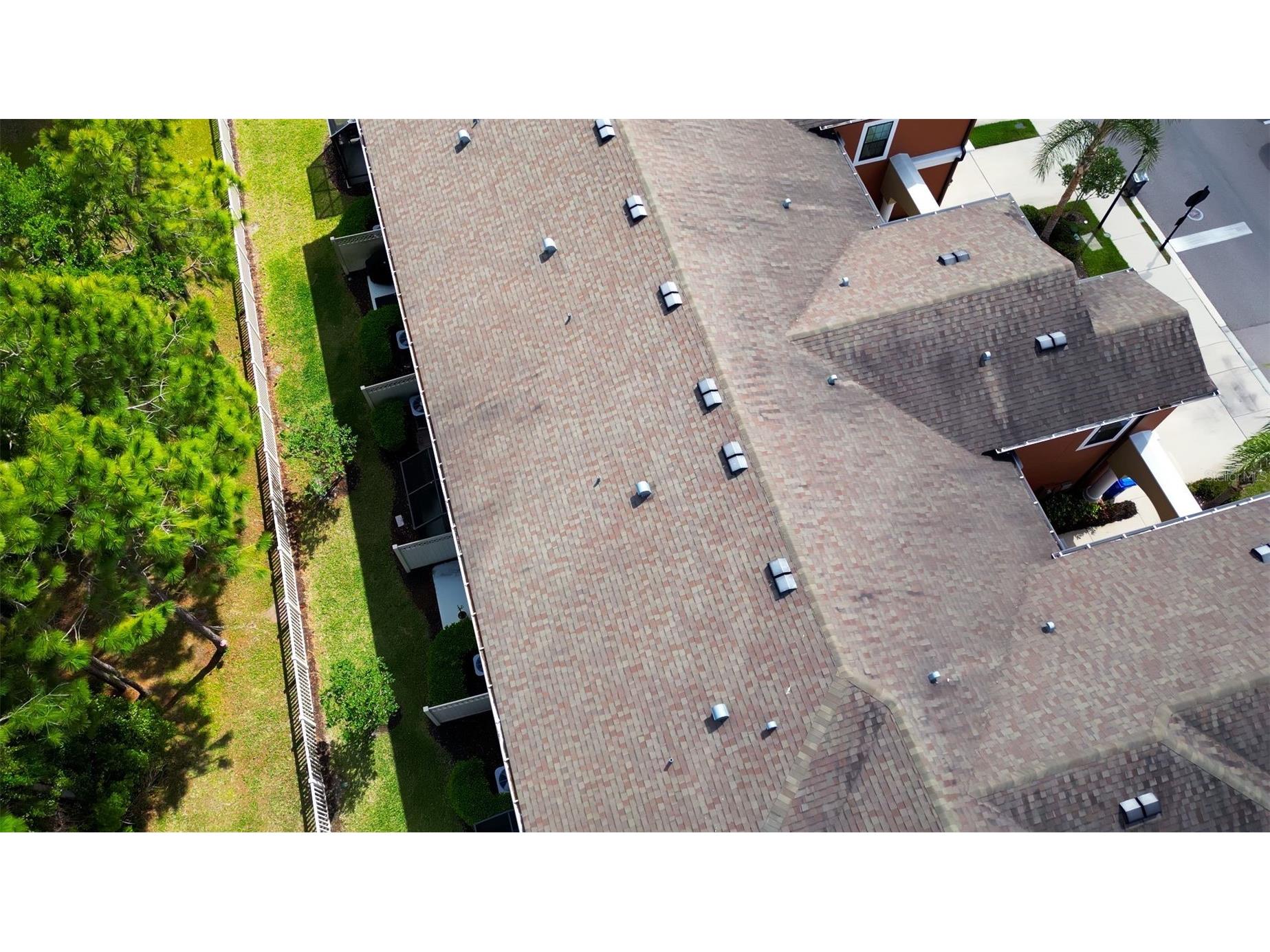 9204 Fox Sparrow Road Tampa FL 33626 TB8484519 image44