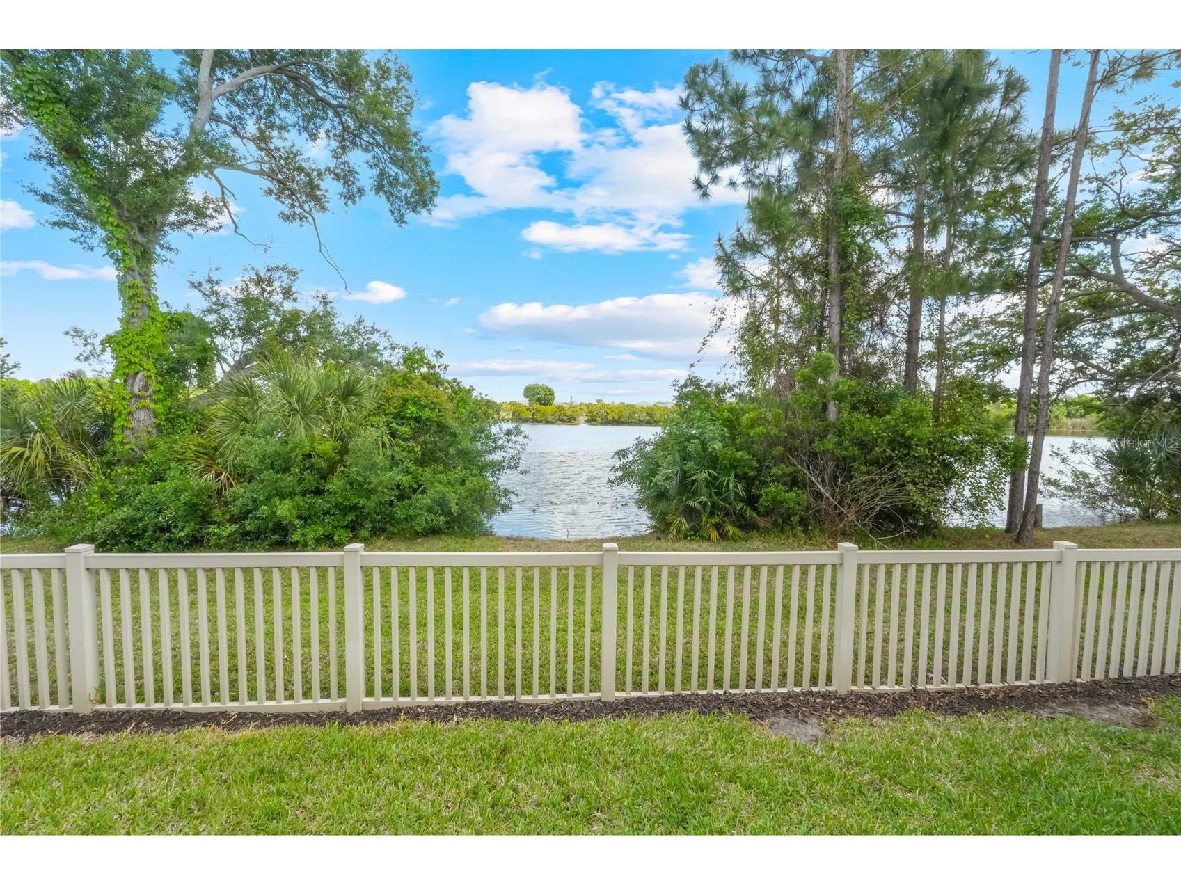 9204 Fox Sparrow Road Tampa FL 33626 TB8484519 image6