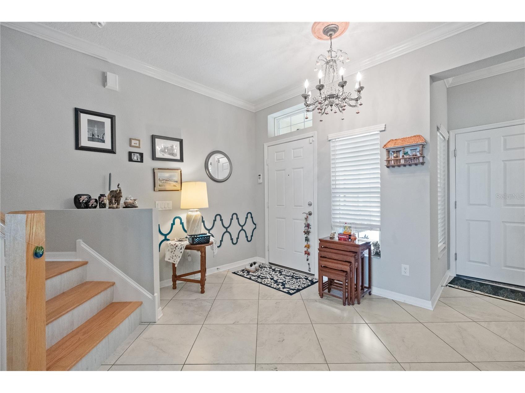 9204 Fox Sparrow Road Tampa FL 33626 TB8484519 image8