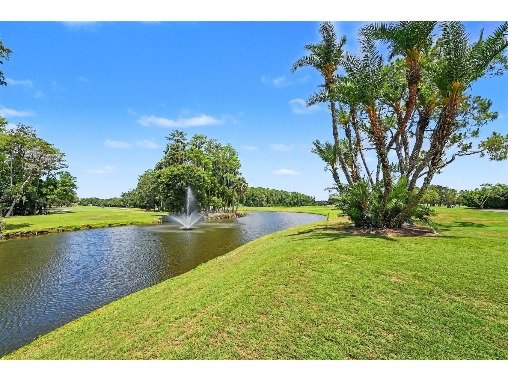 9204 Golf View Dr New Port Richey FL 34655 TB8510400 image28