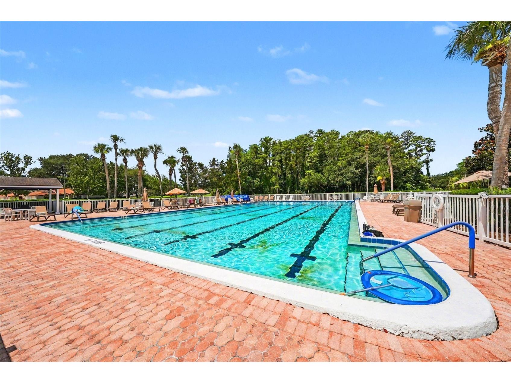 9204 Golf View Dr New Port Richey FL 34655 TB8510400 image30