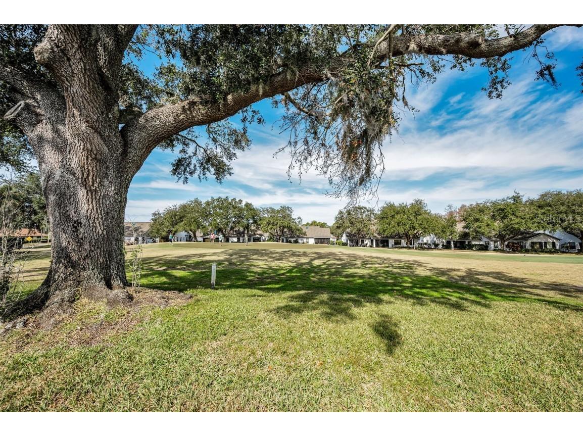 9204 Golf View Drive New Port Richey FL 34655 TB8452985 image29