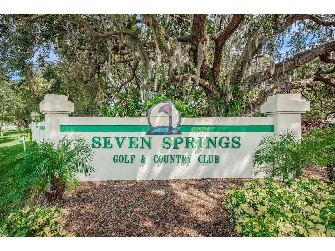 9204 Golf View Drive New Port Richey FL 34655 TB8452985 image31