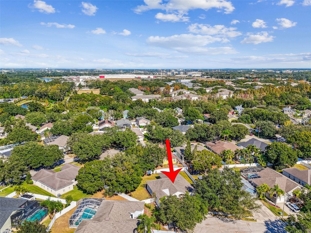 9204 Grand Palm Court Riverview FL 33578 TB8449352 image67