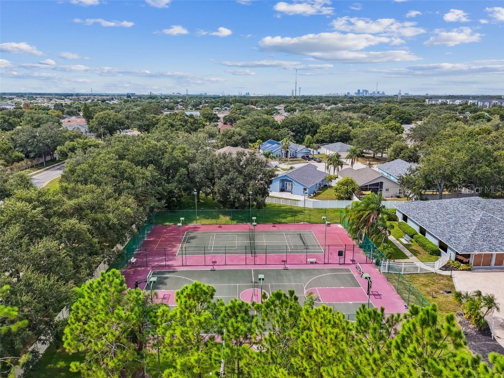 9204 Grand Palm Court Riverview FL 33578 TB8449352 image73