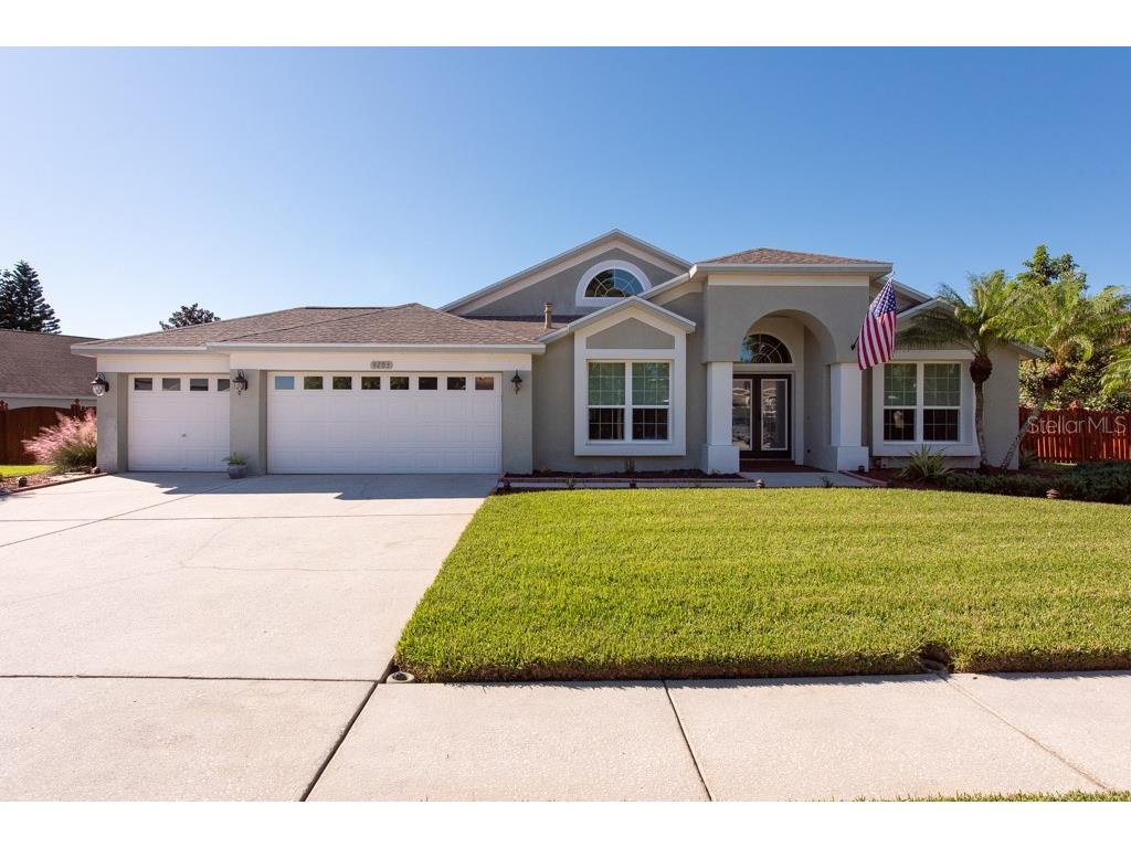 9205 Brindlewood Drive Odessa FL 33556 T3481445 image1