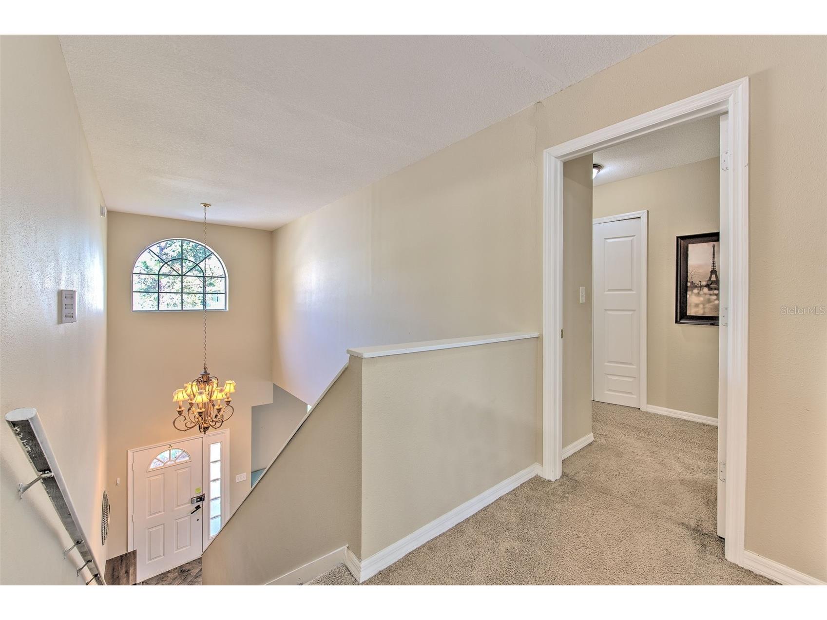9205 Celebration Court Tampa FL 33647 TB8519903 image26