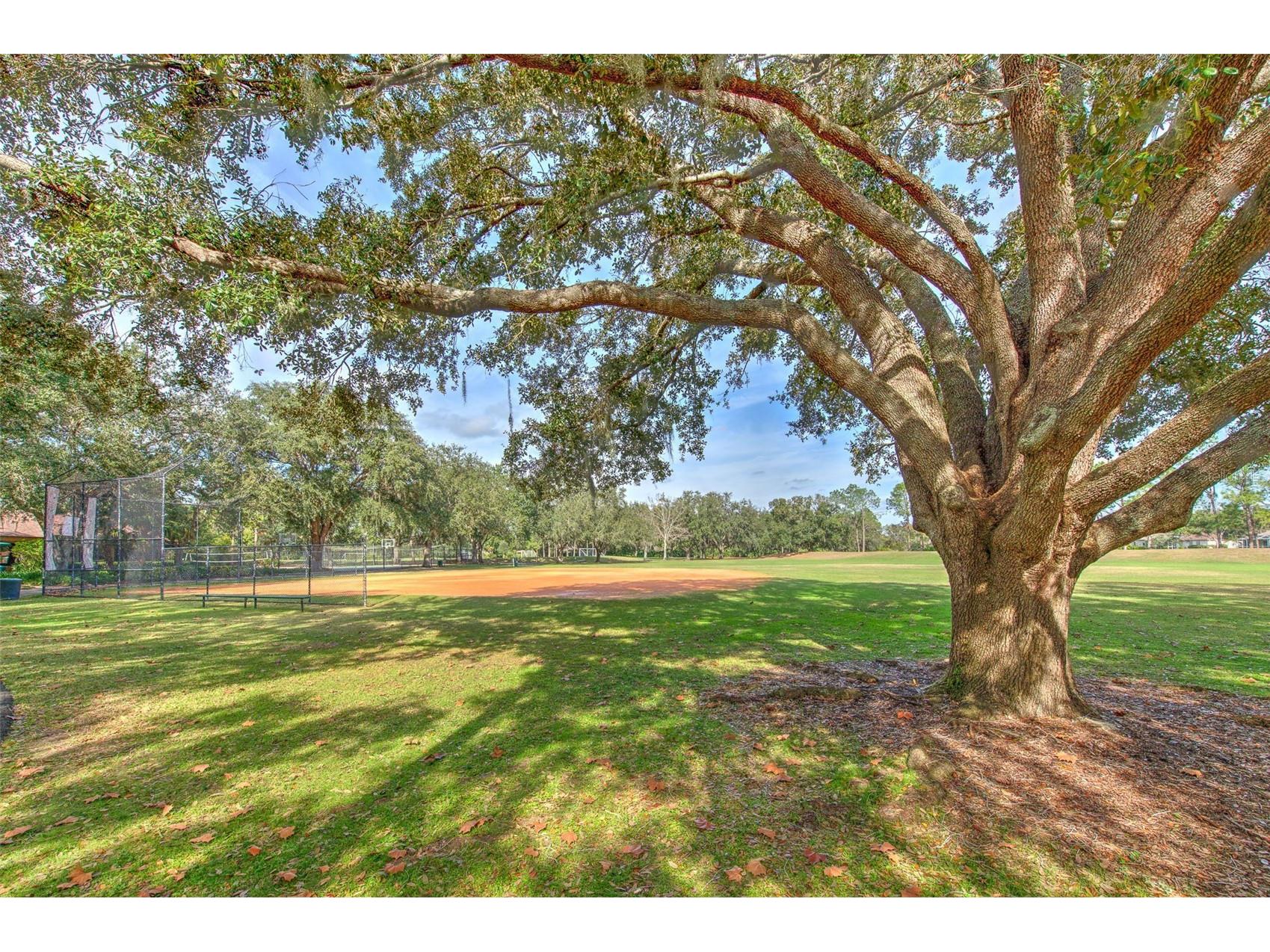 9205 Celebration Court Tampa FL 33647 TB8519903 image40