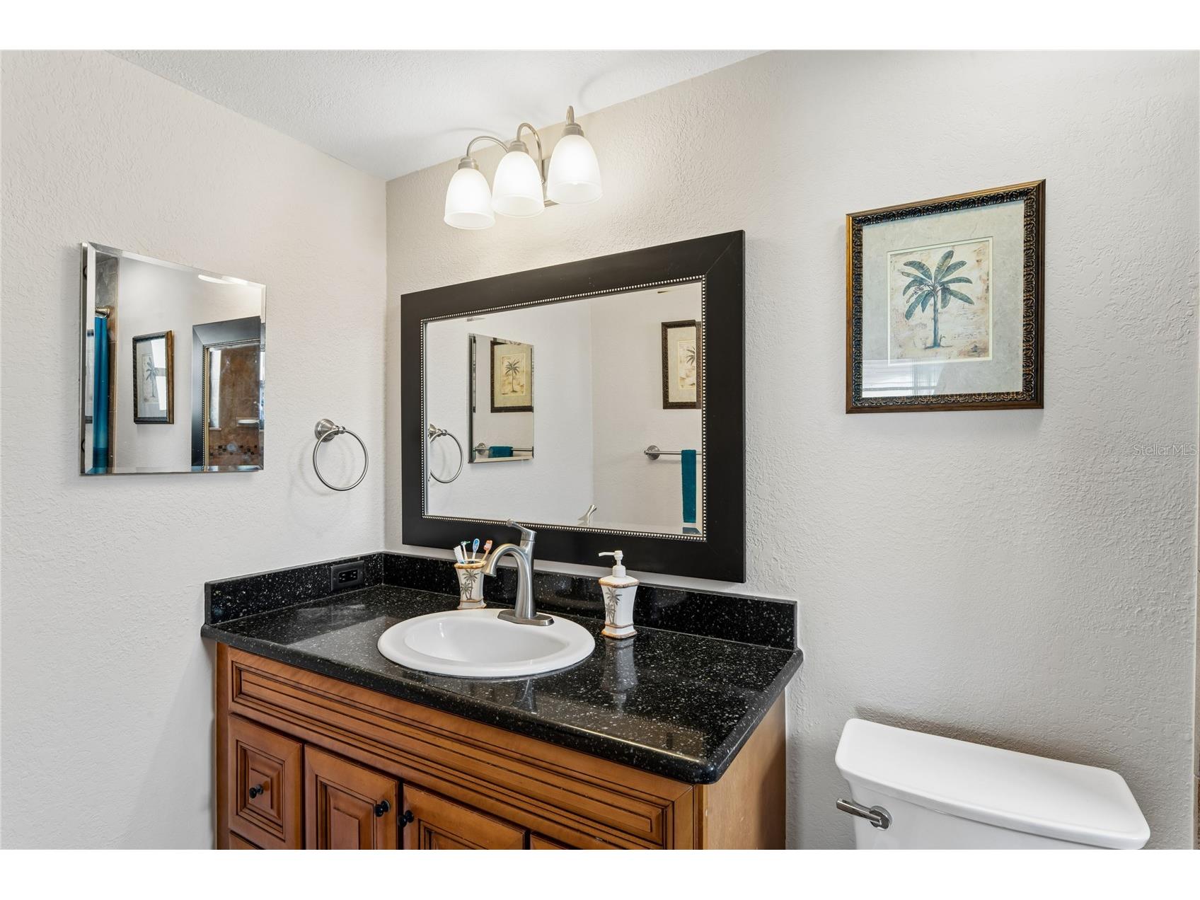 9205 Gray Fox Lane Port Richey FL 34668 TB8520629 image25