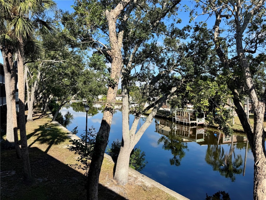 9205 Tudor Drive #C208 Tampa FL 33615 A4670011 image1