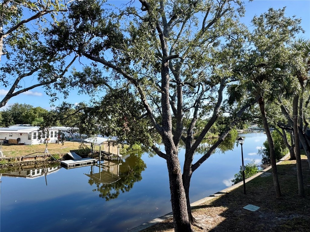 9205 Tudor Drive #C208 Tampa FL 33615 A4670011 image17