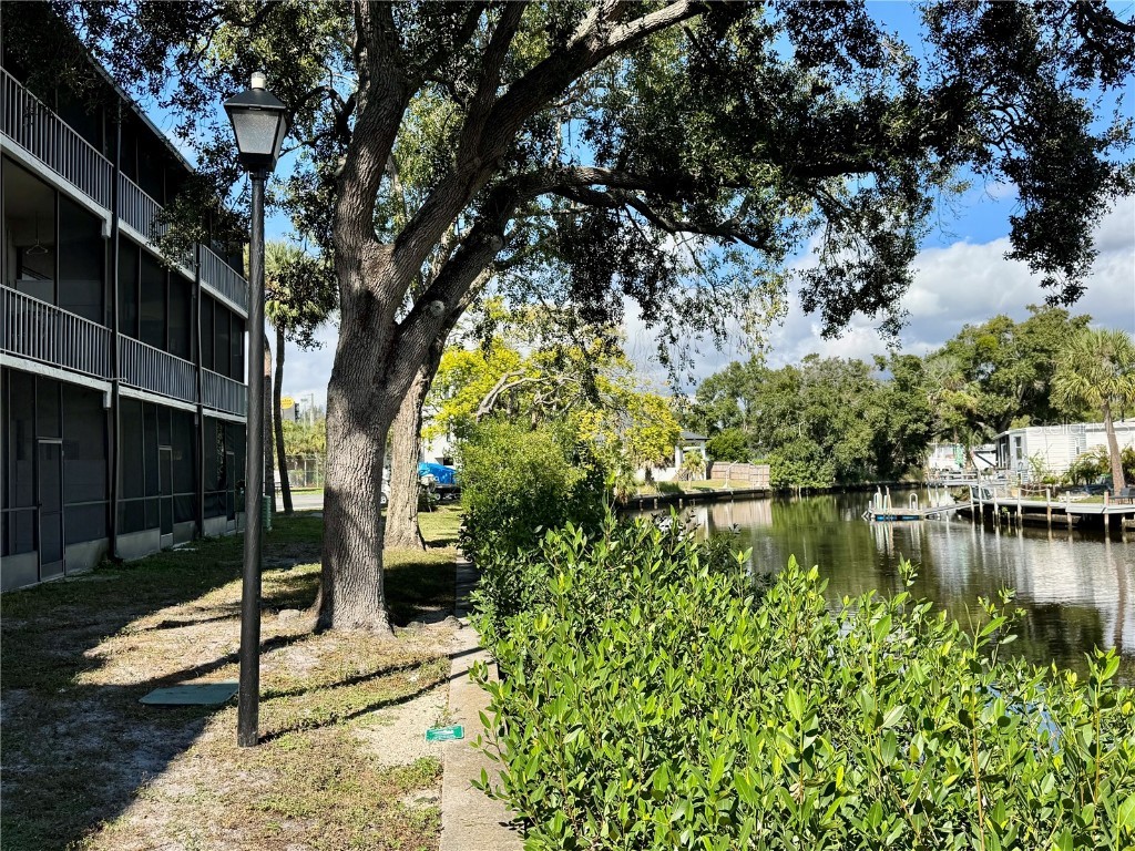 9205 Tudor Drive #C208 Tampa FL 33615 A4670011 image41