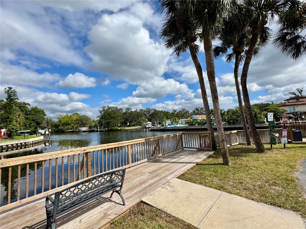 9205 Tudor Drive #C208 Tampa FL 33615 A4670011 image45