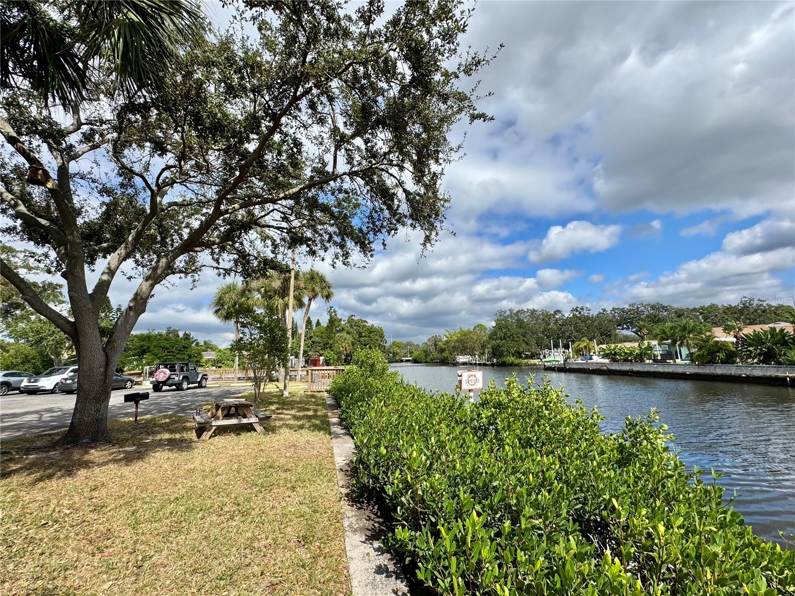 9205 Tudor Drive #C208 Tampa FL 33615 A4670011 image51