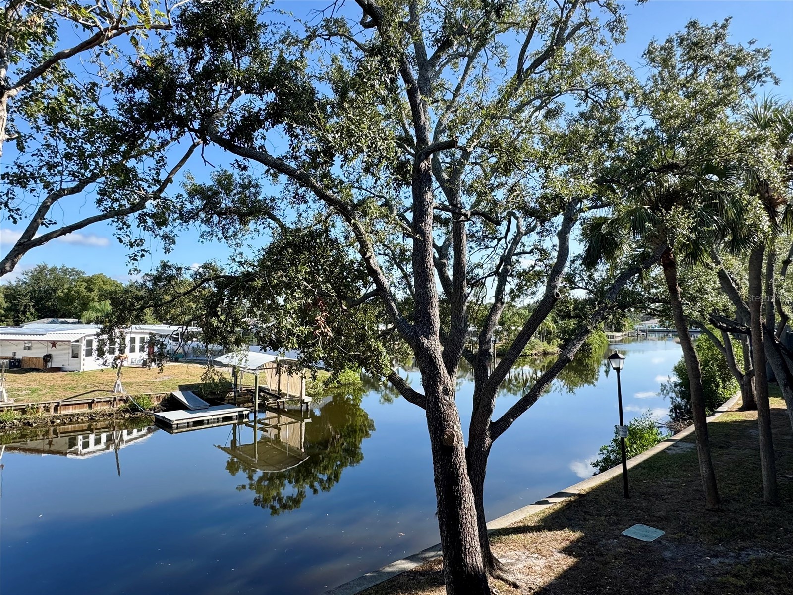 9205 Tudor Drive #C208 Tampa FL 33615 TB8514269 image16