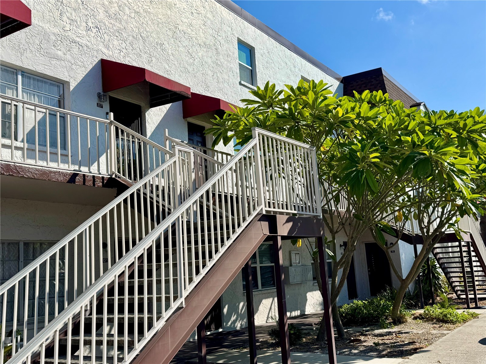 9205 Tudor Drive #C208 Tampa FL 33615 TB8514269 image2