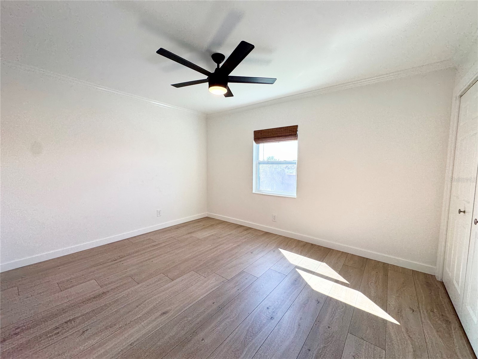 9205 Tudor Drive #C208 Tampa FL 33615 TB8514269 image24