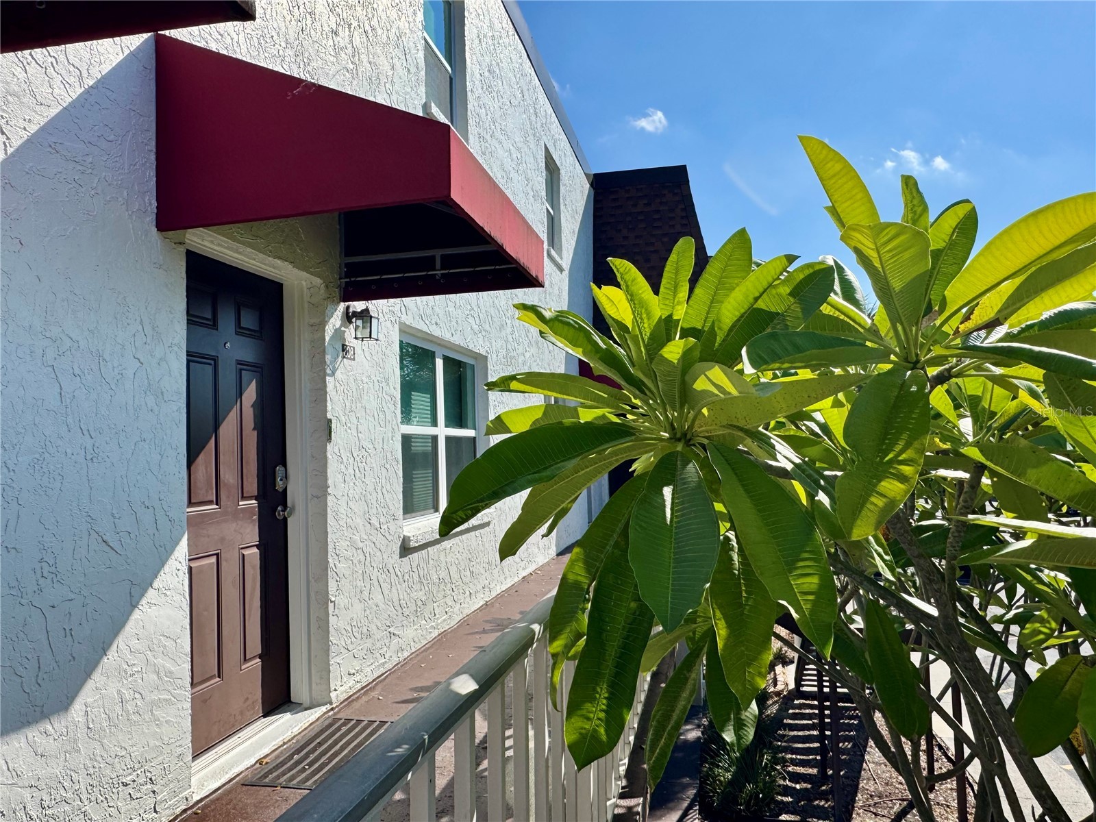 9205 Tudor Drive #C208 Tampa FL 33615 TB8514269 image3