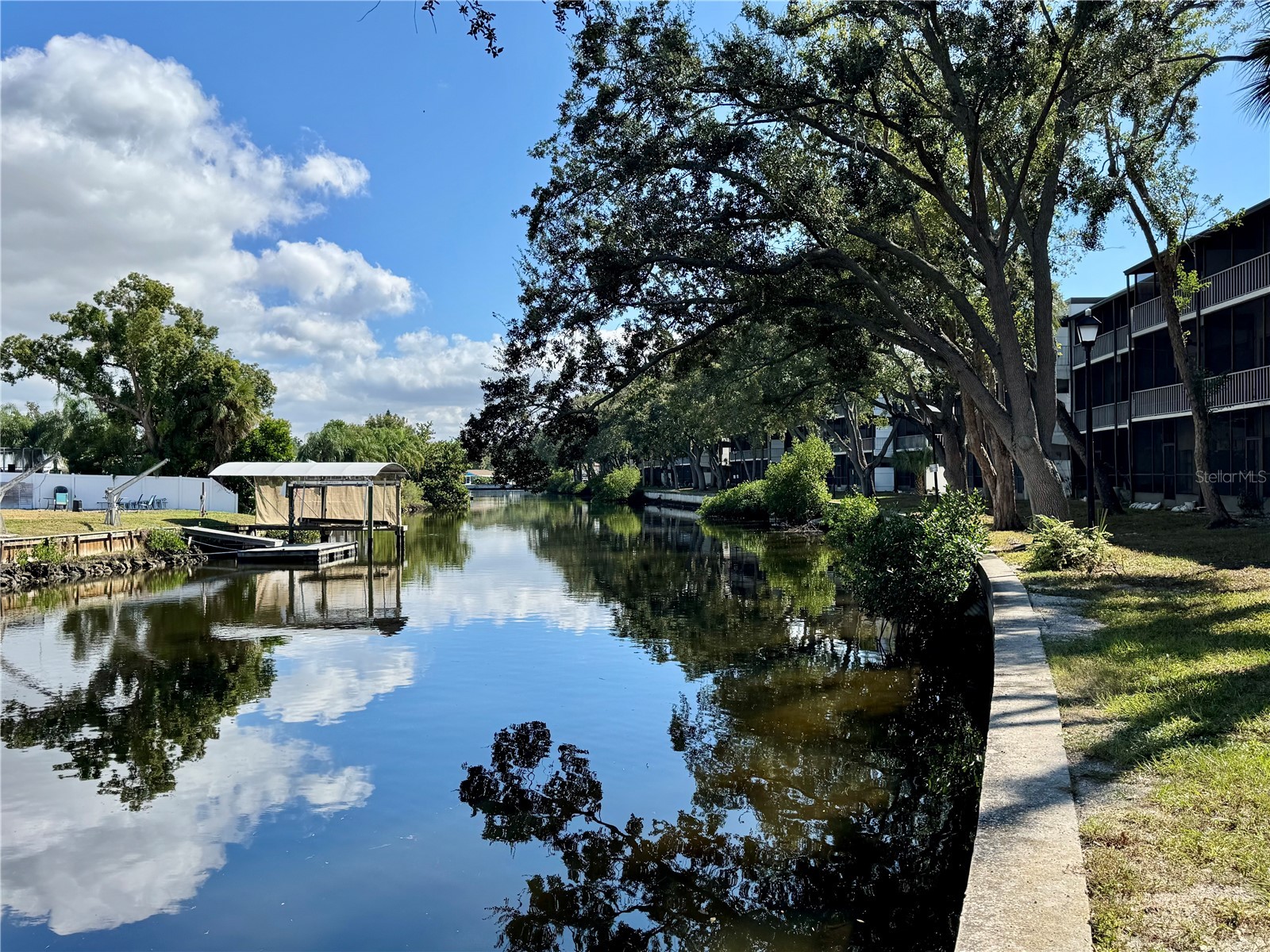 9205 Tudor Drive #C208 Tampa FL 33615 TB8514269 image38