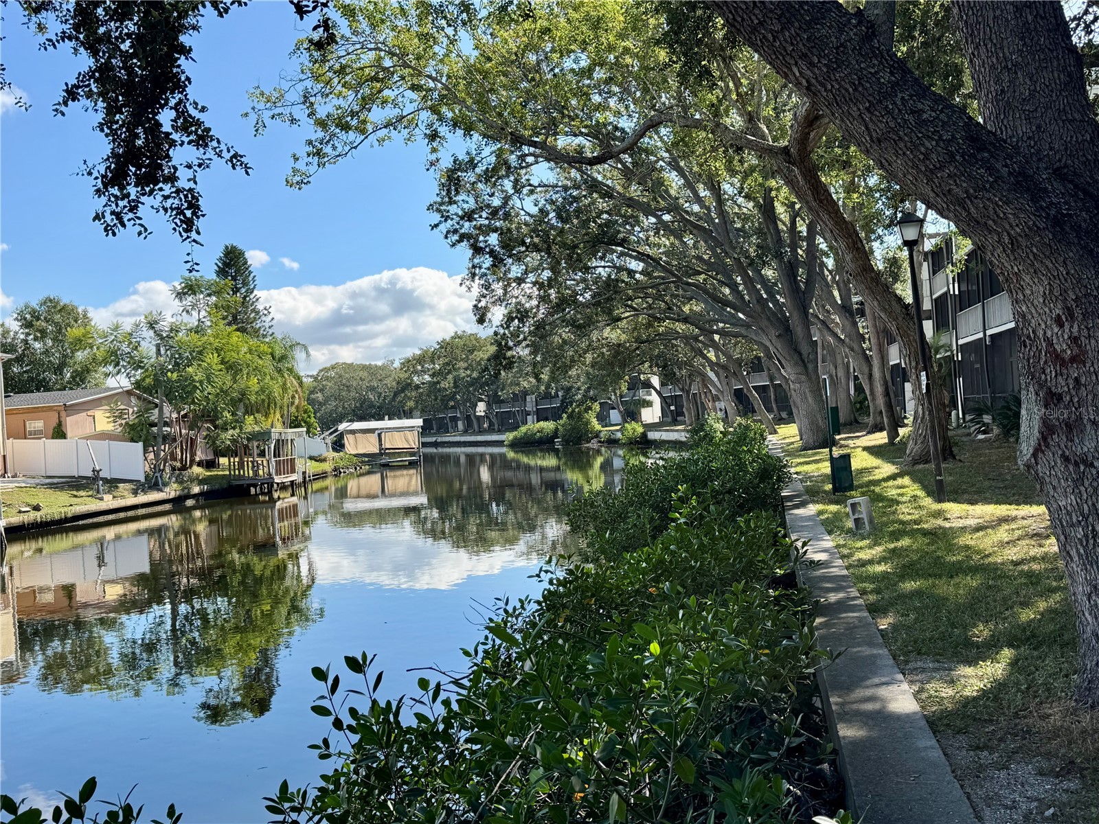 9205 Tudor Drive #C208 Tampa FL 33615 TB8514269 image39