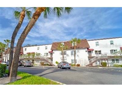 9205 Tudor Drive #C209 Tampa FL 33615 TB8425765 image1