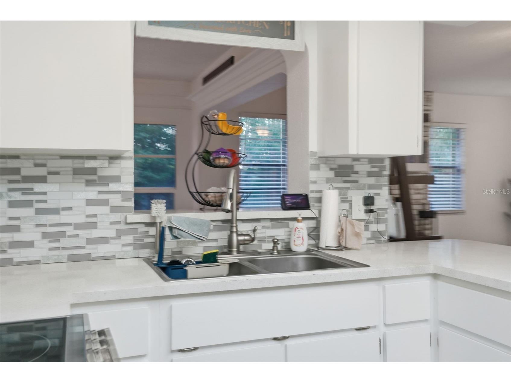 9206 Belvedere Street Spring Hill FL 34608 TB8471927 image11