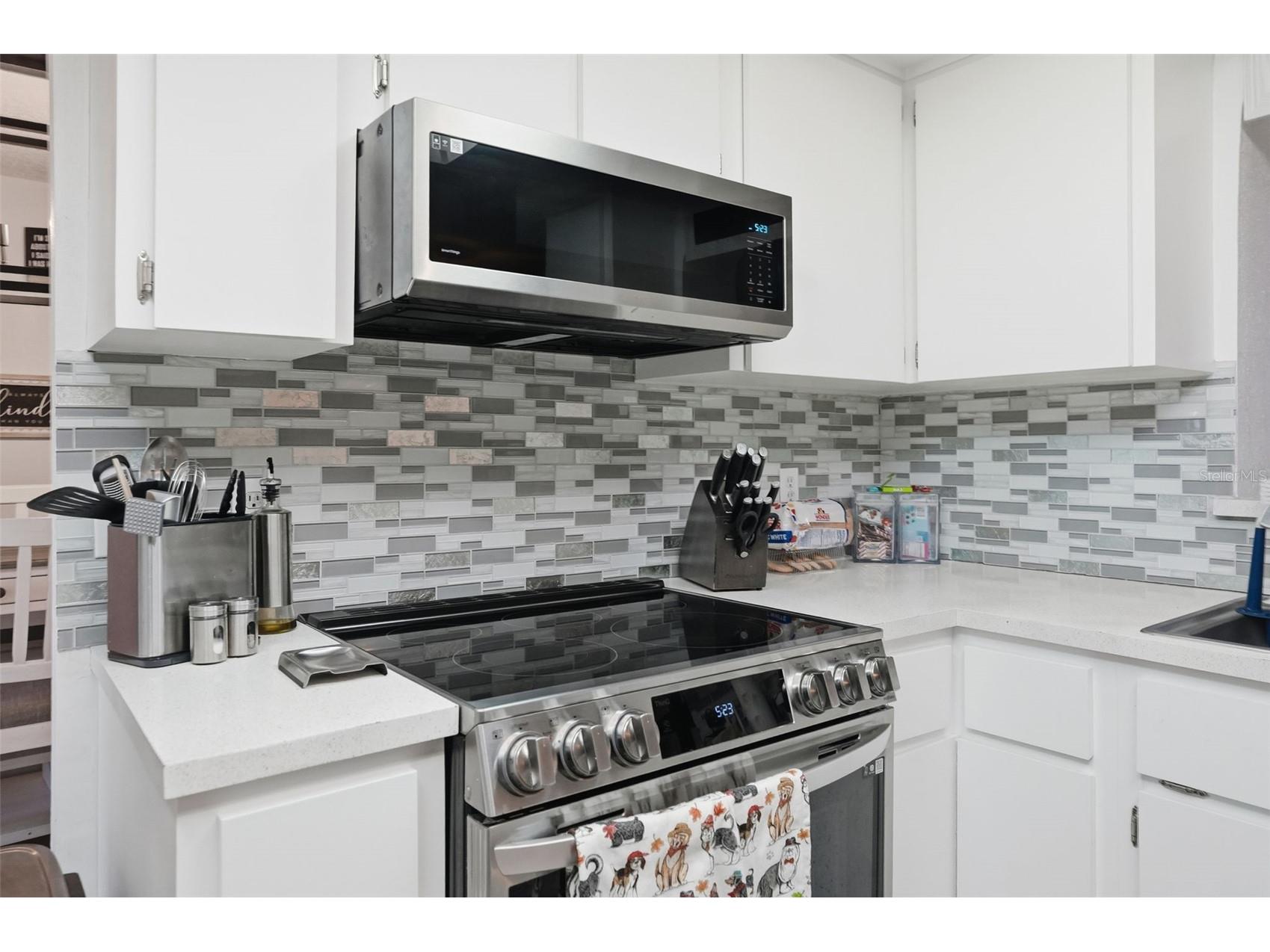 9206 Belvedere Street Spring Hill FL 34608 TB8471927 image12